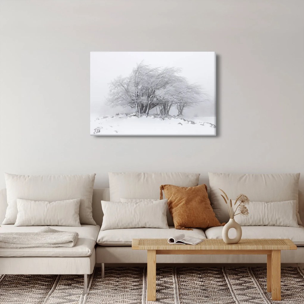 Kép - fehér tél (90x60 cm)