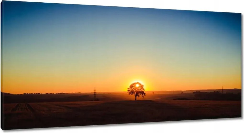 Festmények 115x55 Kilátás Tájkép