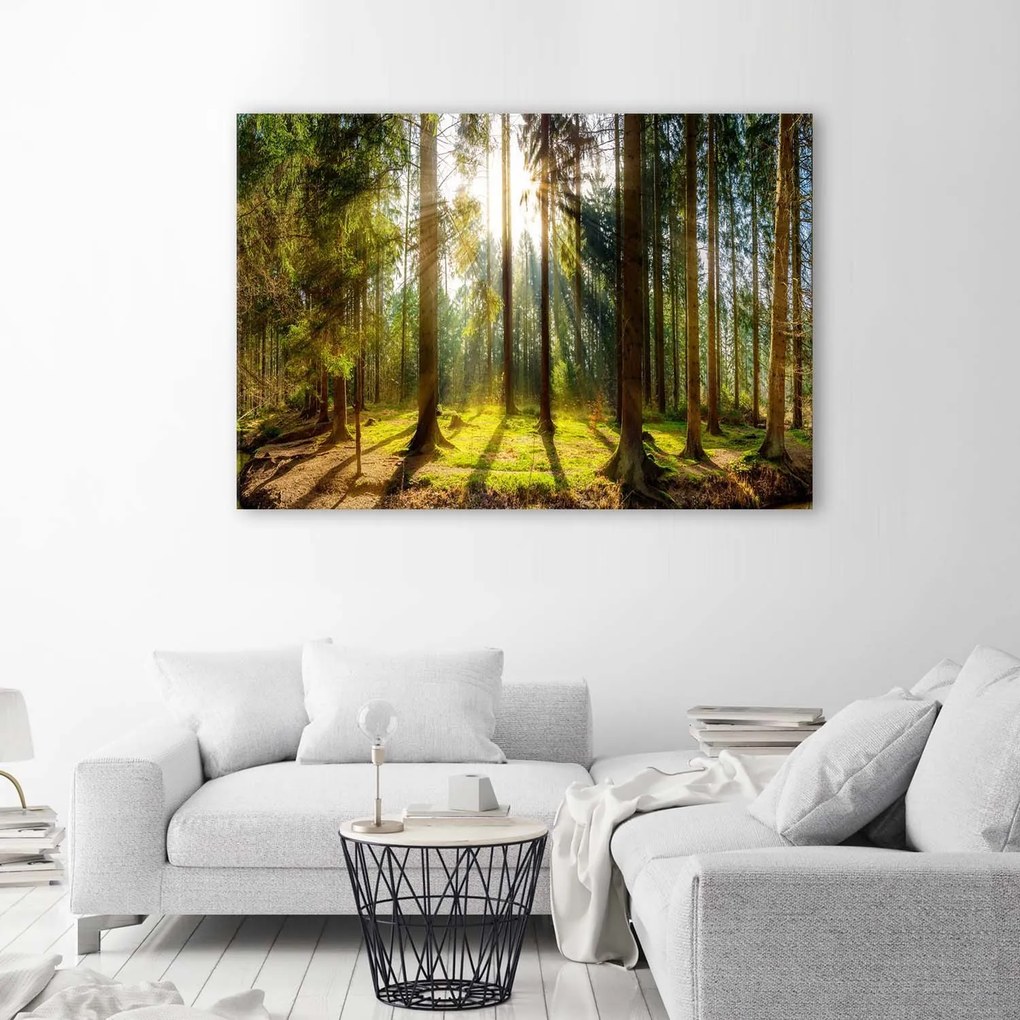 Gario Vászonkép Sugarak egy napsütötte erdőben Méret: 100 x 70 cm