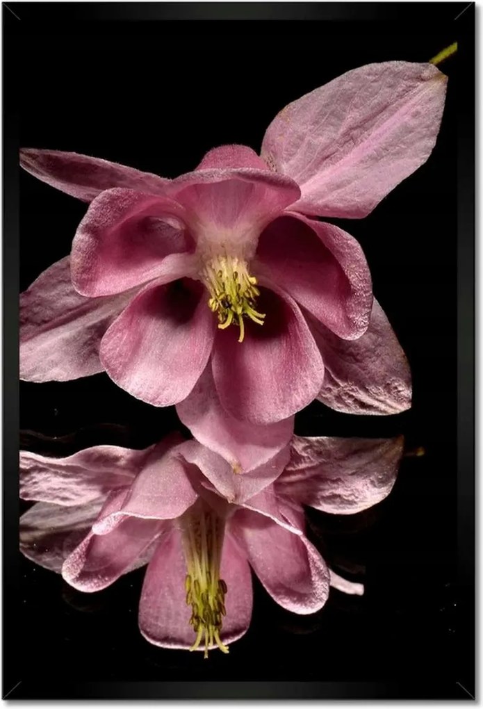 Poszterek keretben 40x60 Nőnap Ajándék Love