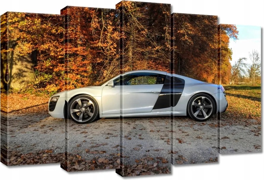 Vászonkép 70x50 Fehér Audi Tt