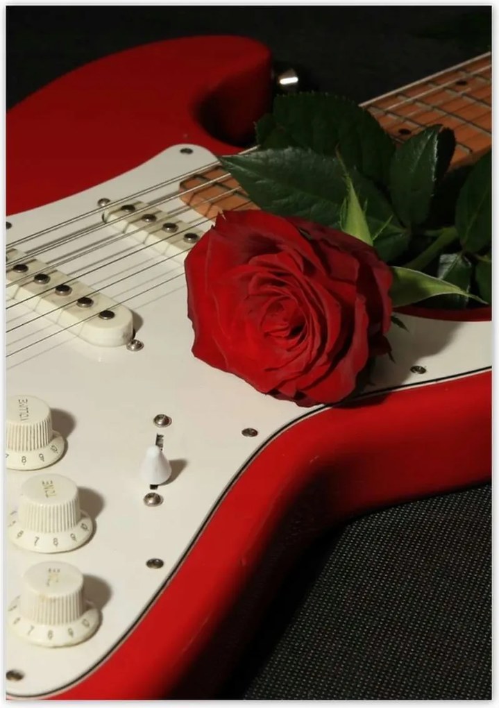 Poszterek 70x100 Elektromos gitár rózsával
