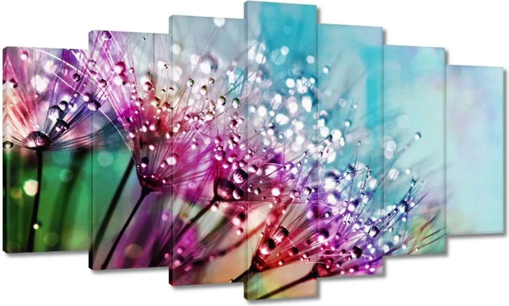 Vászonkép 140x80 Harmatcseppek Pitypang