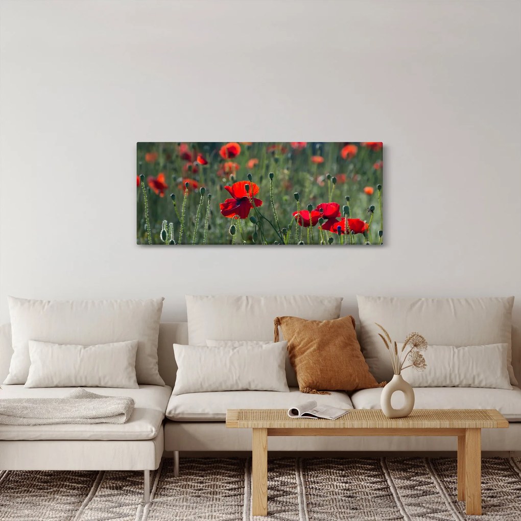 Kép - Rét mák virággal (120x50 cm)
