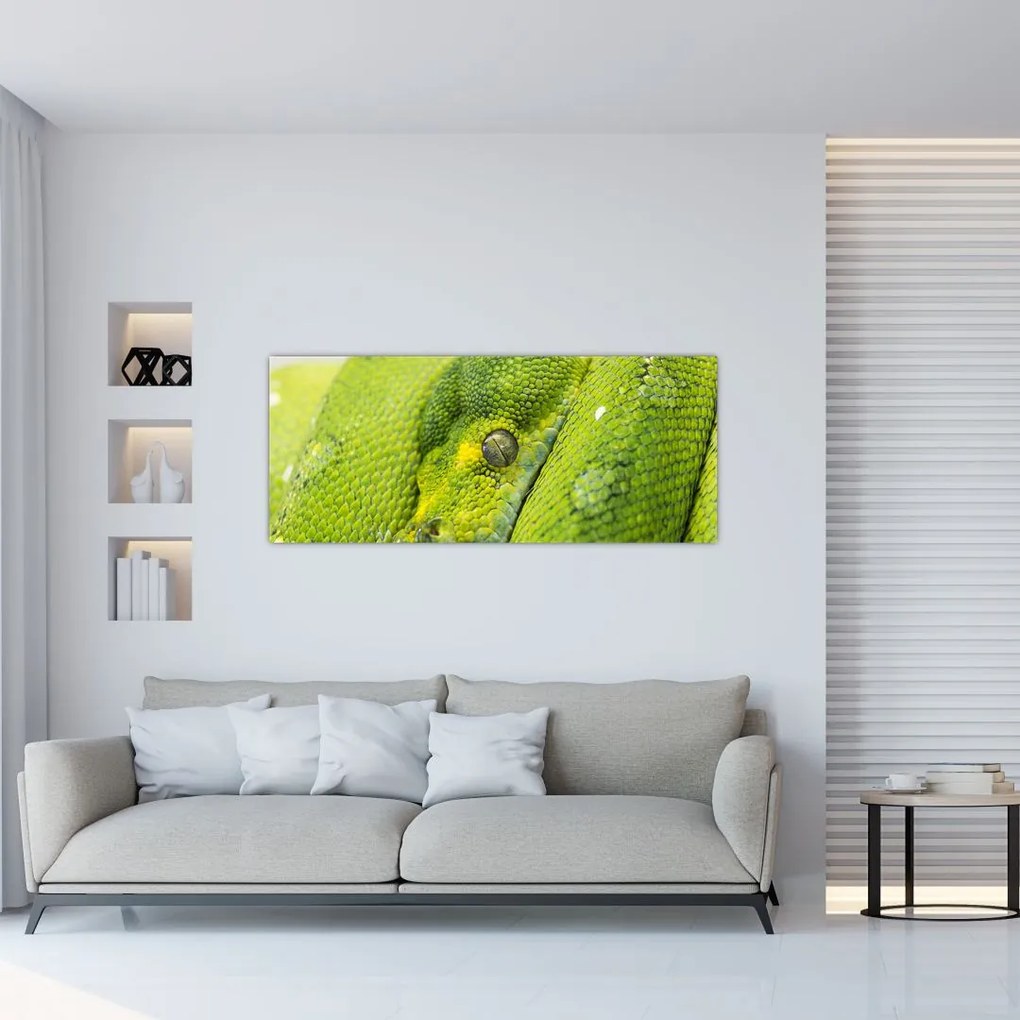 Kígyó képe (120x50 cm)