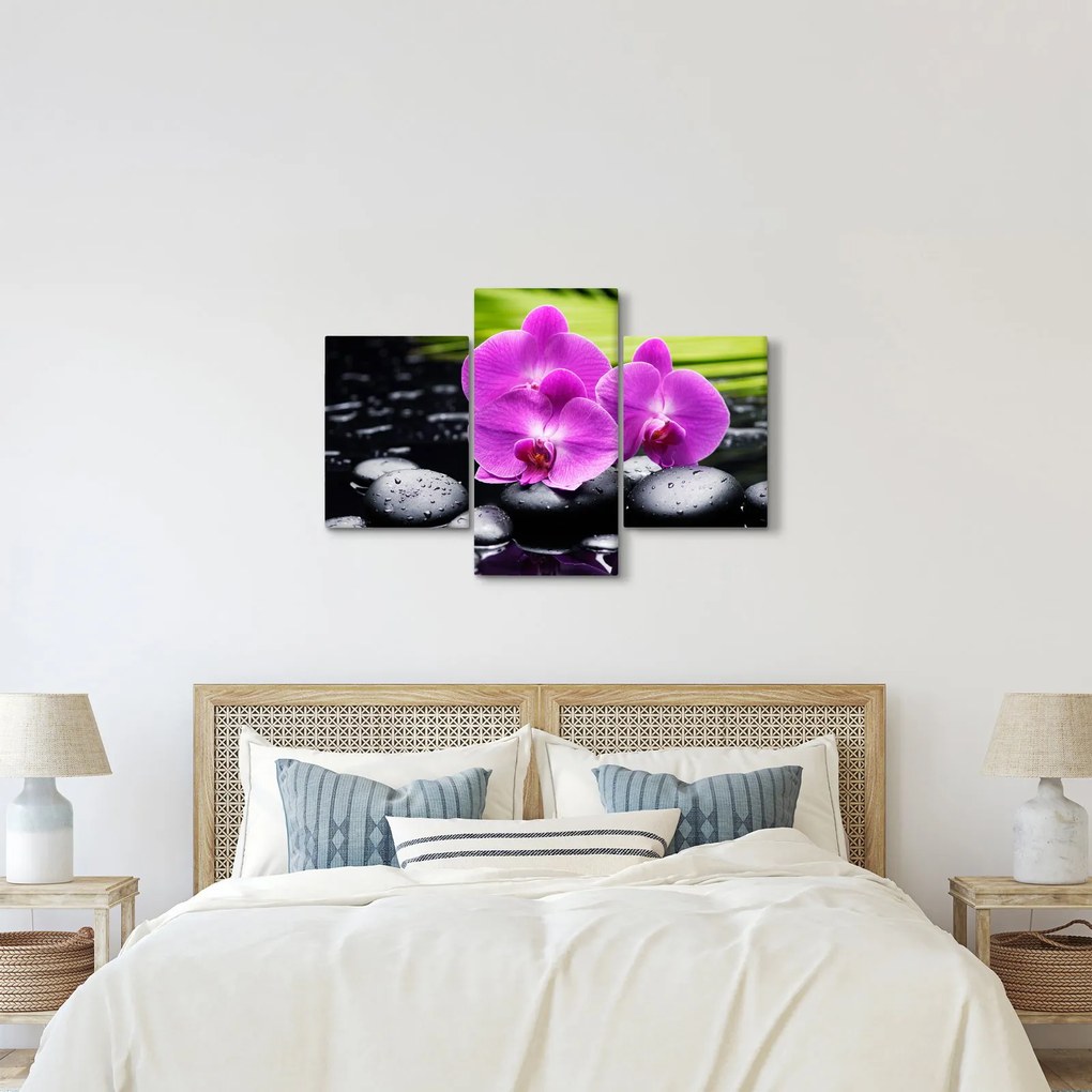 Kép - Orchideák (90x60 cm)