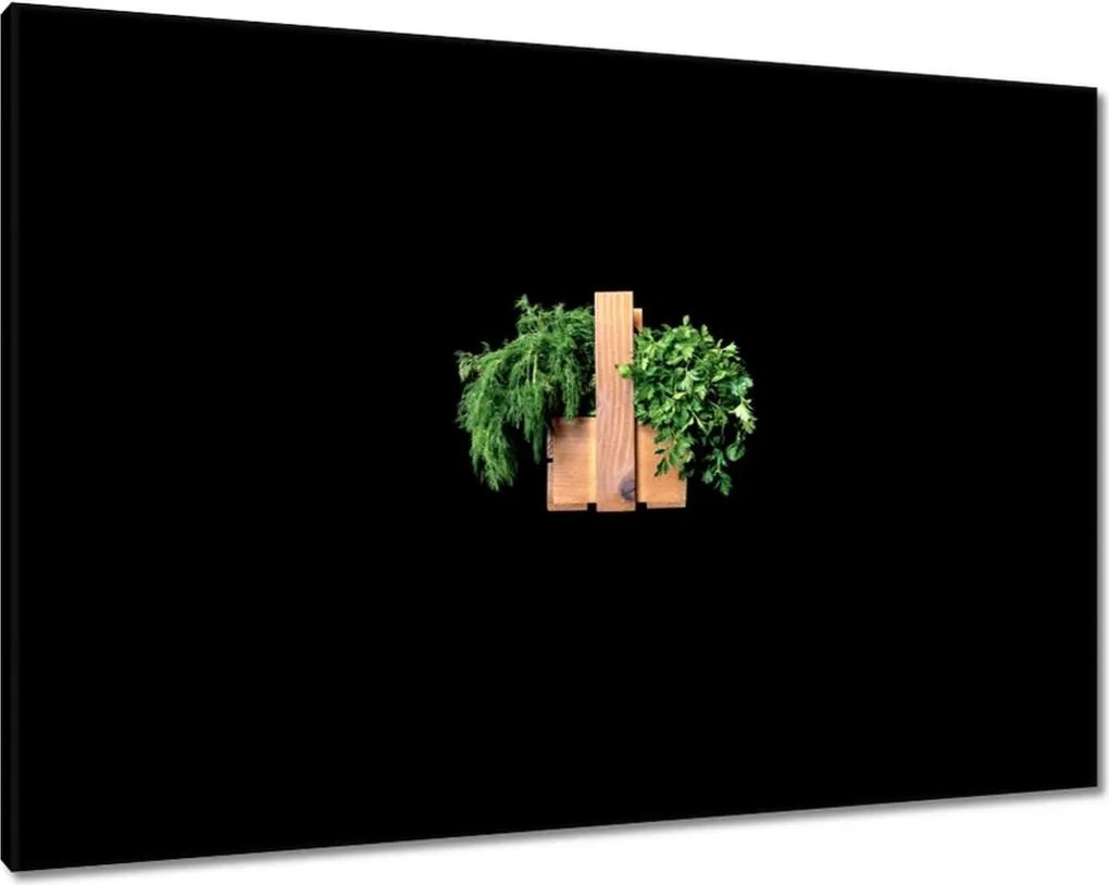 Vászonkép 100x70 Petrezselyem Kapor gyógynövények