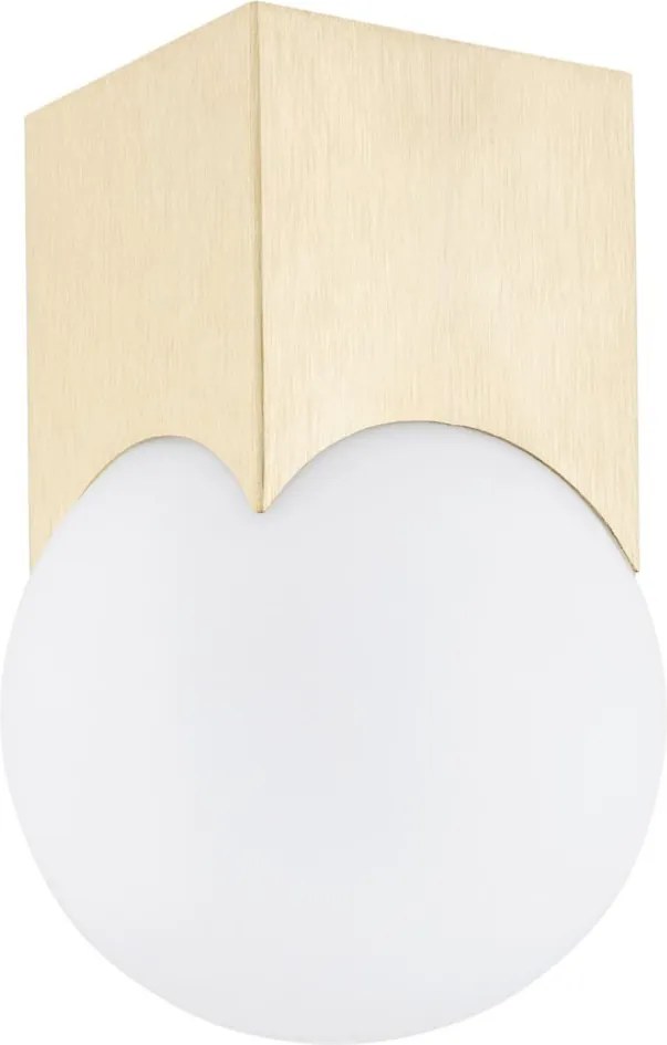 ARGON 4712 AUSTIN Modern Mennyezeti Lámpa Sárgaréz, Opál Szőnyeg E14 IP20