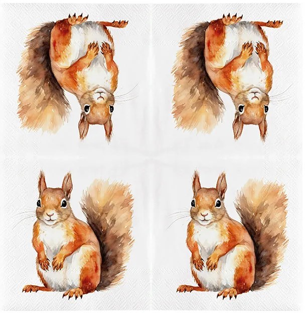 Mókusos 3 rétegű szalvéta, 33 x 33 cm