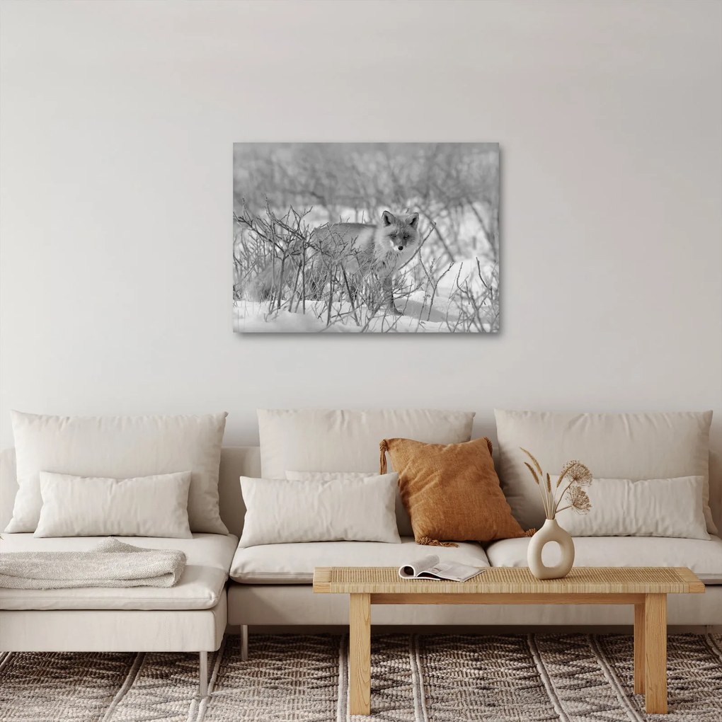 Kép - Róka, fekete, fehér (70x50 cm)