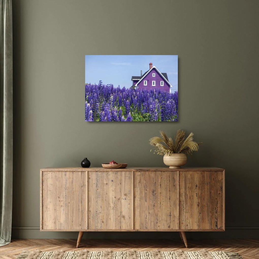 Levandula mező képe (üvegen) (70x50 cm)
