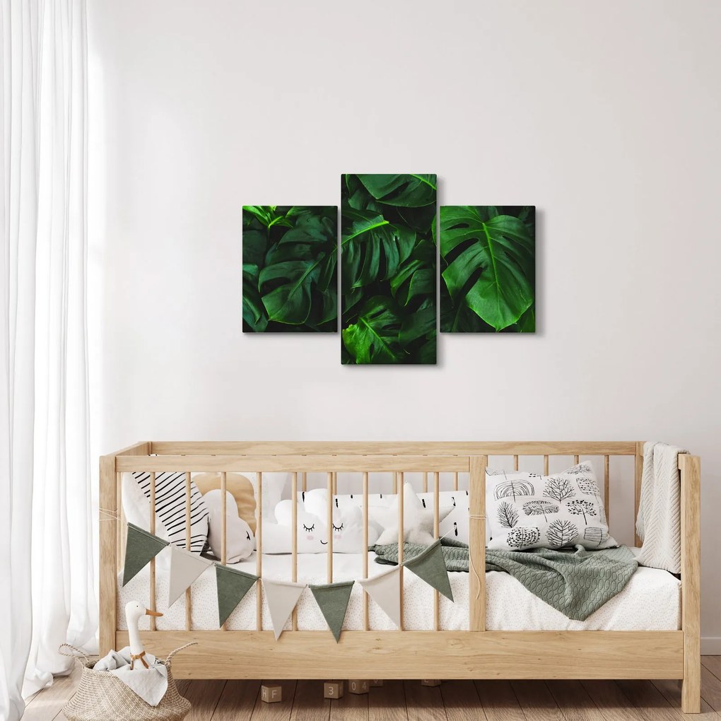 Monstery levelek képe (90x60 cm)