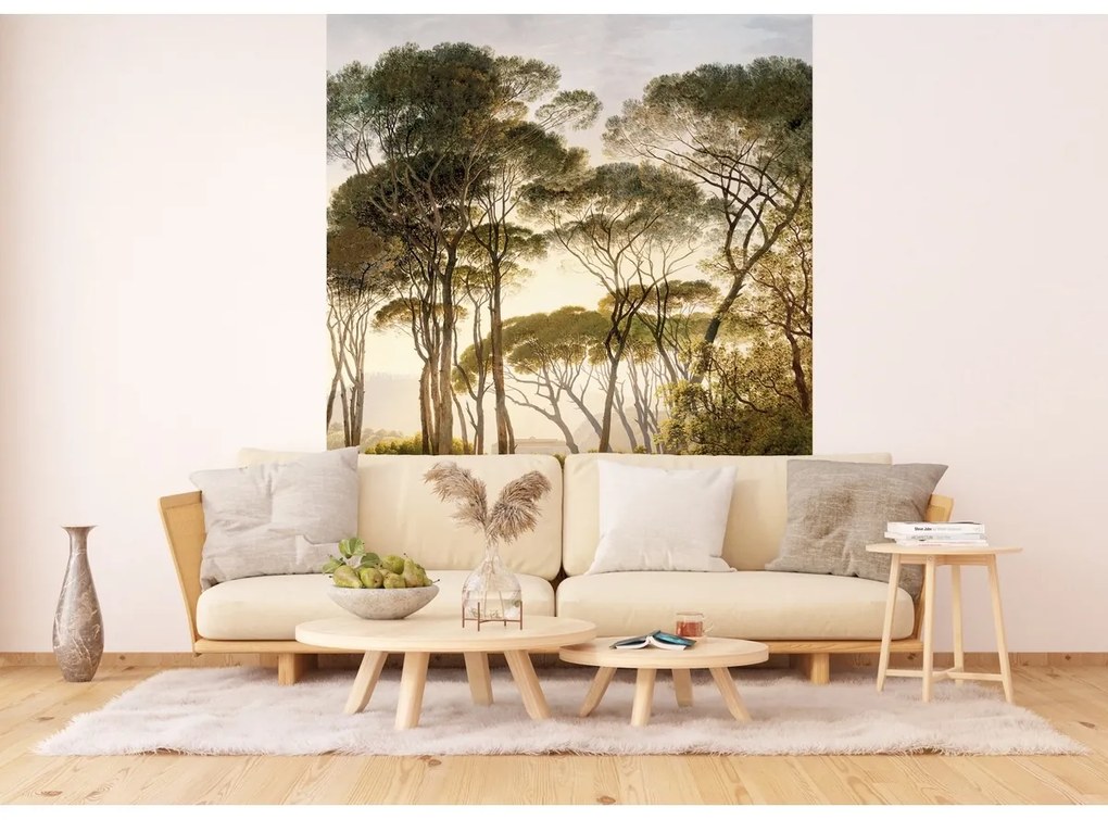 Fototapéta Old Trees 180 x 255 cm, 2 részes