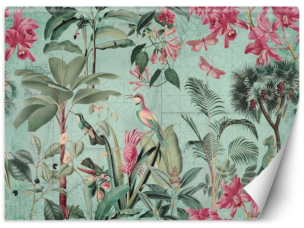 Gario Fotótapéta Madarak a levelek között - Andrea Haase Anyag: Vlies, Méret: 450 x 315 cm