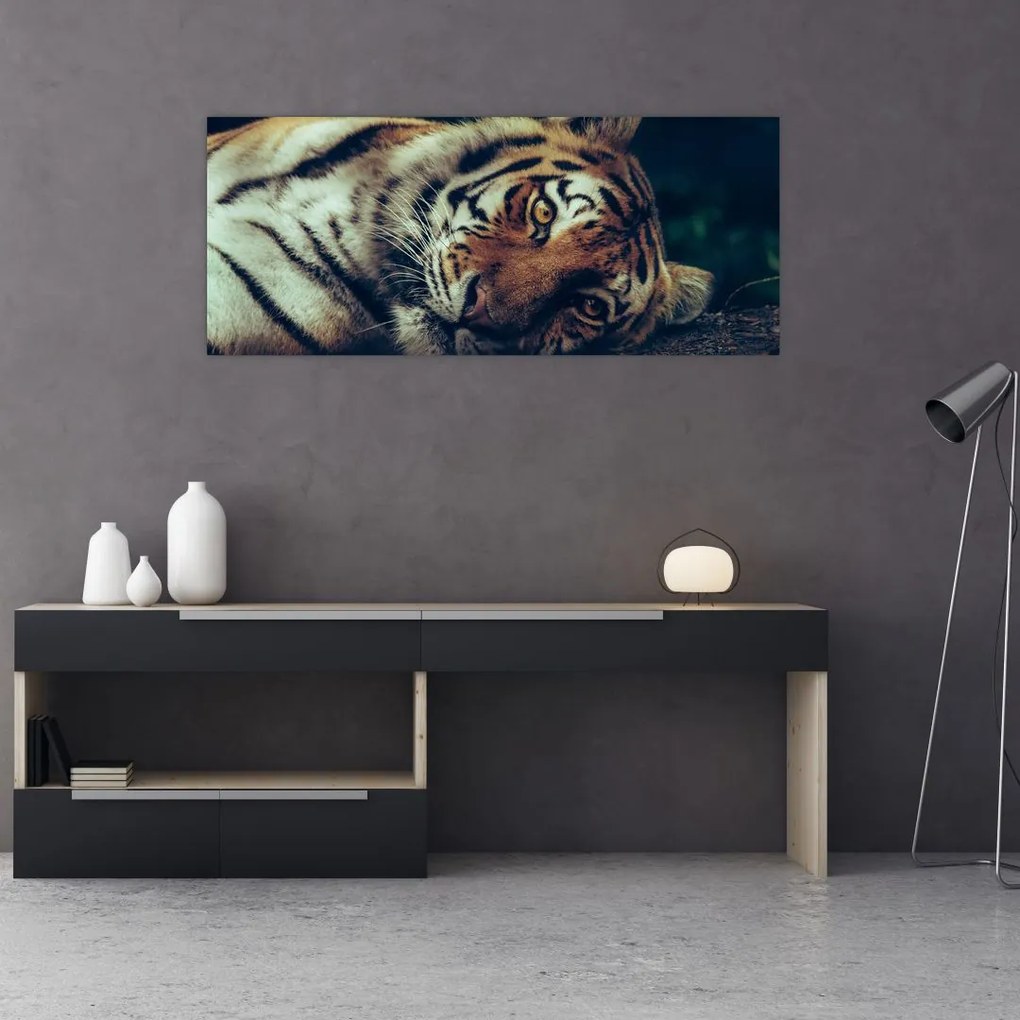 Kép - Szibériai tigris (120x50 cm)