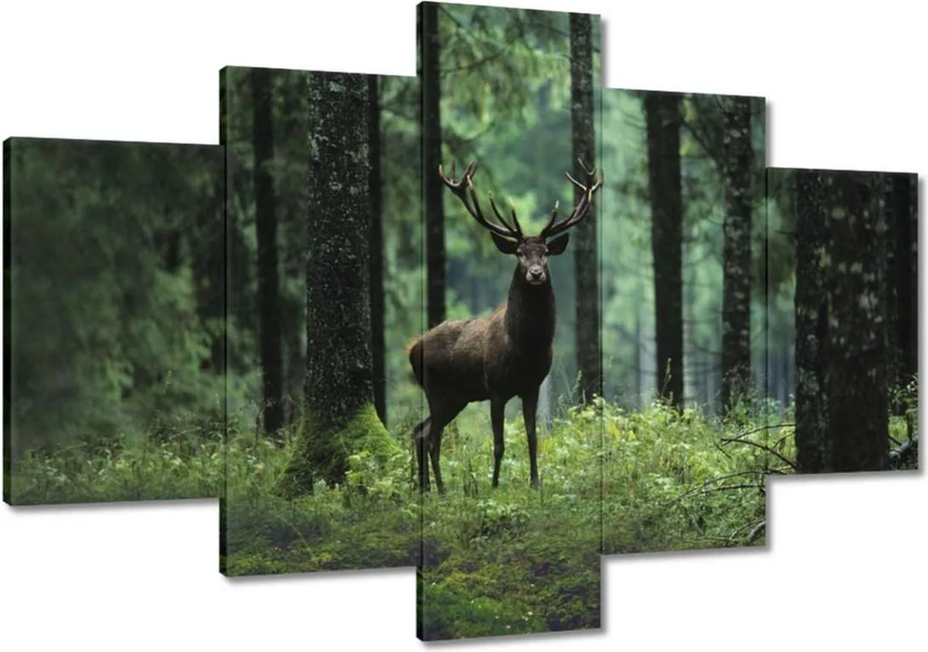 Vászonkép 120x80 Gyönyörű szarvas a fák között