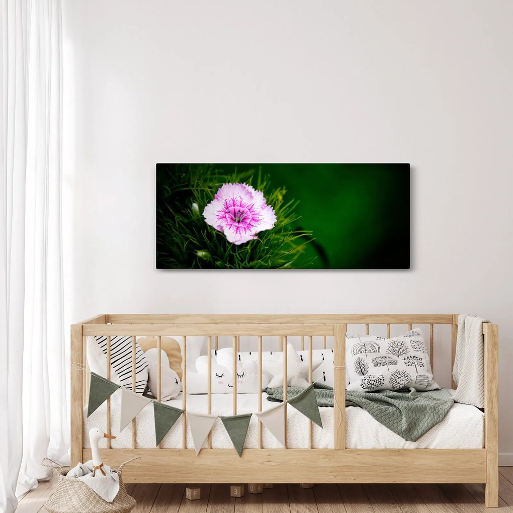 Rózsaszín virág képe (120x50 cm)