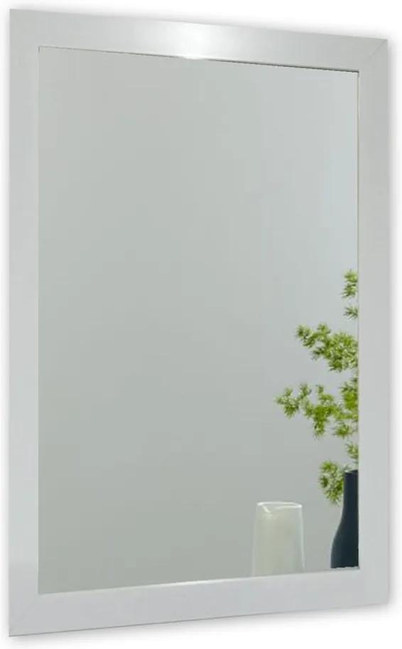 Ibis fali tükör ezüstszínű kerettel, 40 x 55 cm - Oyo Concept