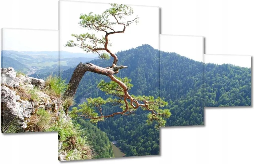 Festmények 130x80 Magányos fa