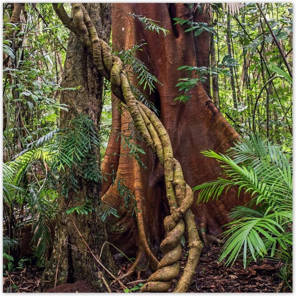 Poszterek 140x140 Tájkép Látvány