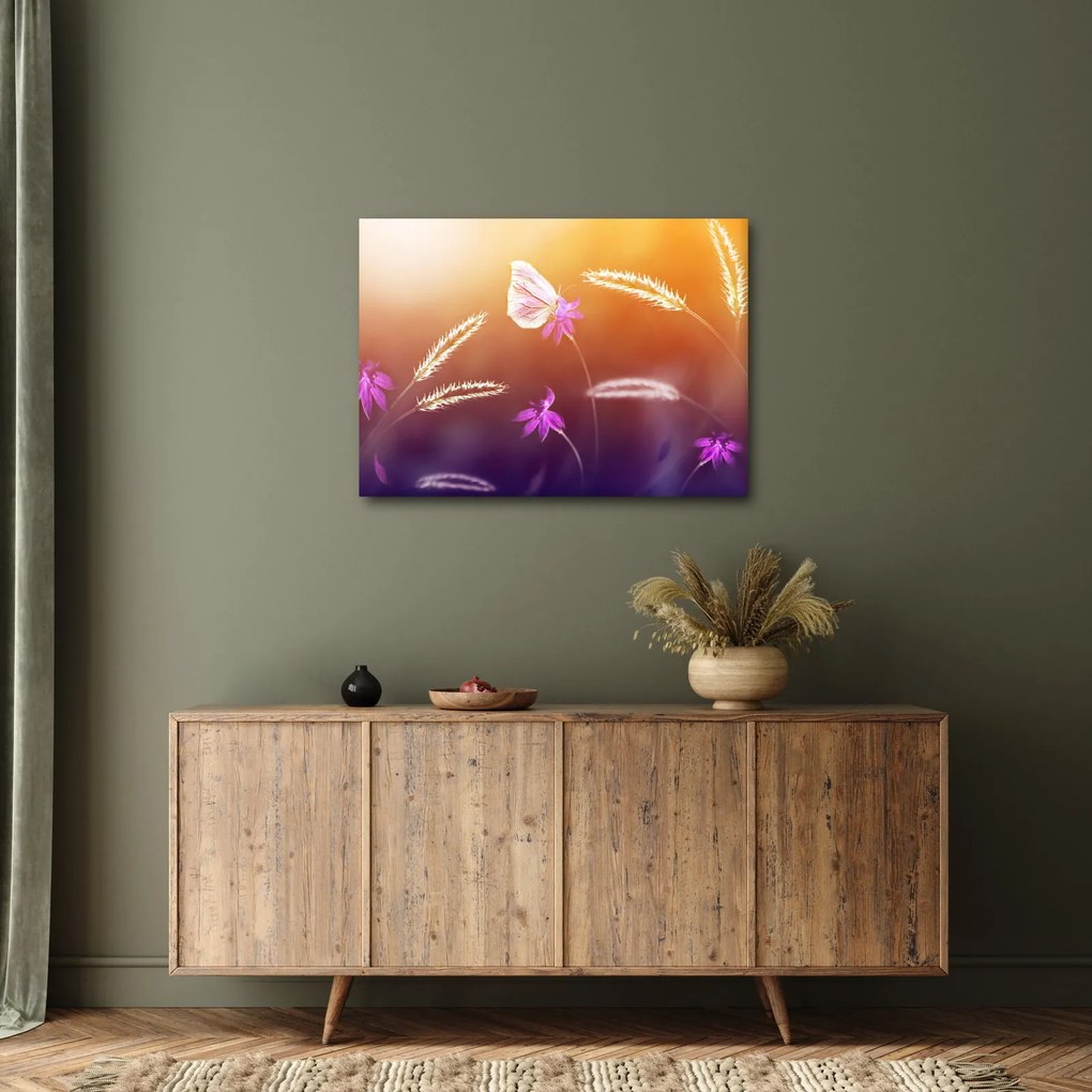 Kép - Rózsaszín pillangó (70x50 cm)