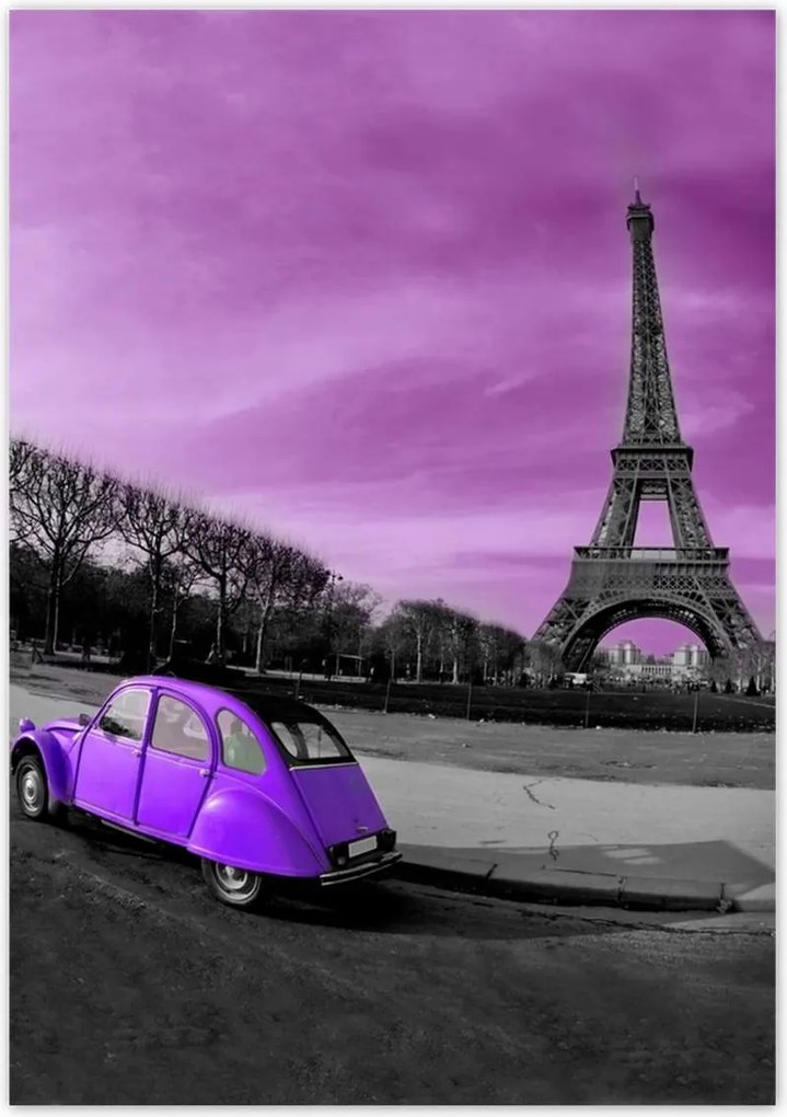 Poszterek 70x100 Lila Citroen