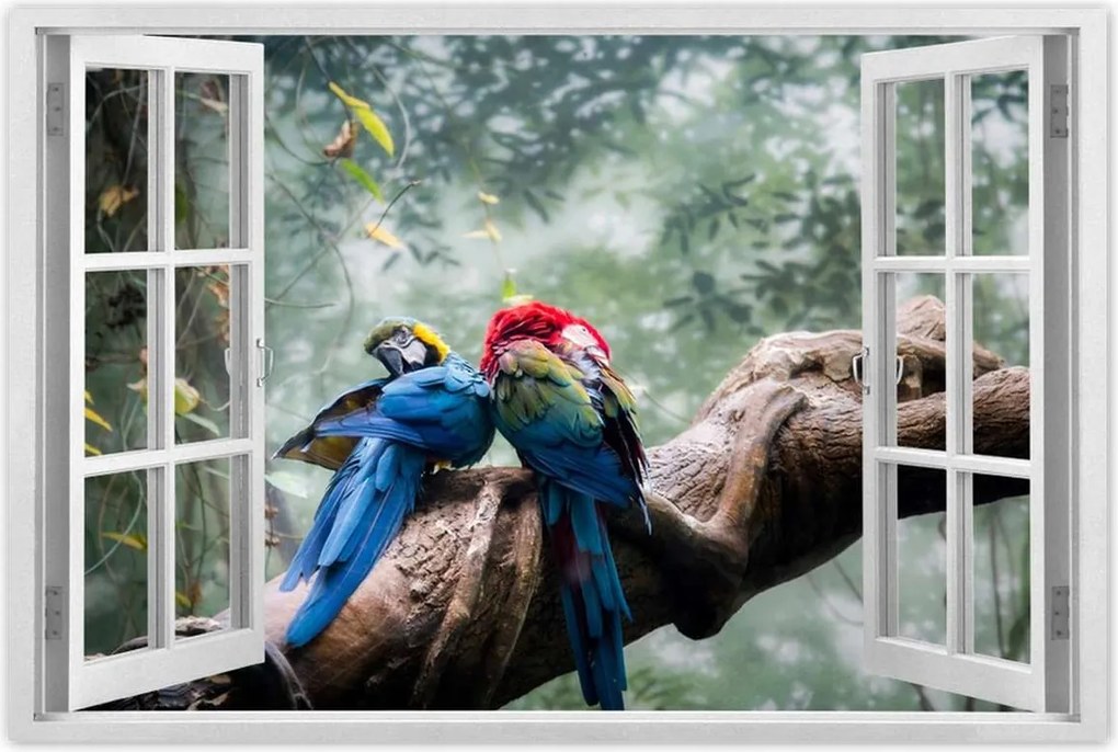 Poszterek 90x60 Szerelmes papagájok