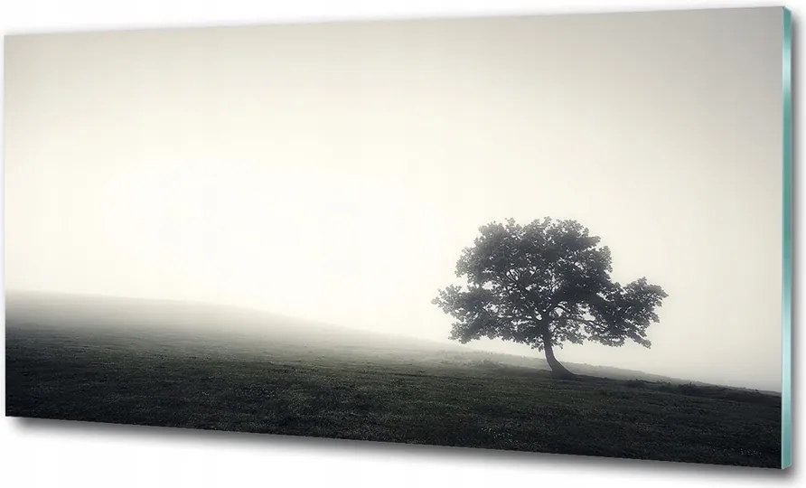 Fotó kép edzett üveg Erdei ösvény 125x50