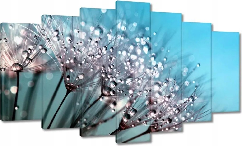 Vászonkép 140x80 Harmatcseppek Pitypang