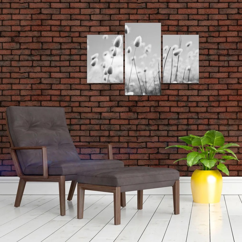 Kép - Boho nyuszi farok fű (90x60 cm)