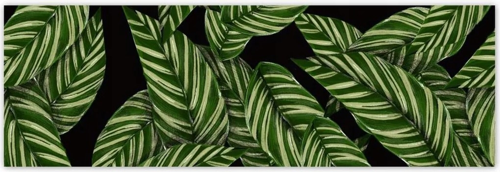 Poszterek 200x66 Zöld levelek Trópusok