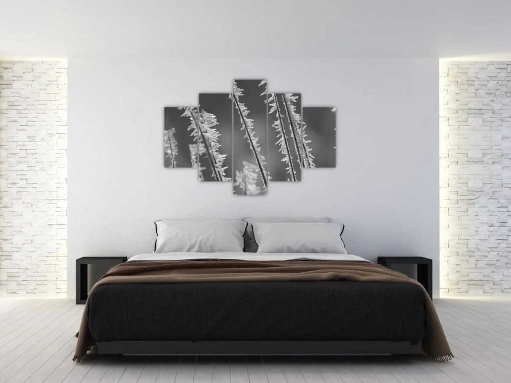 Kép - Fagyos hideg (150x105 cm)