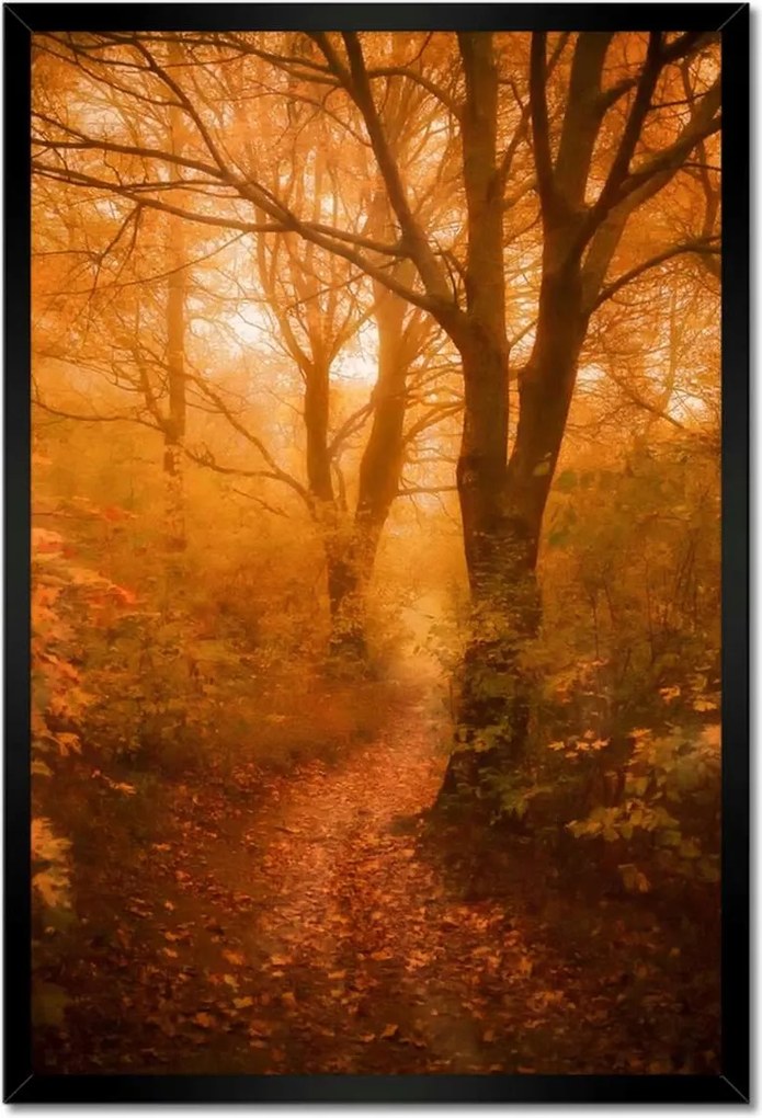 Poszterek keretben 40x60 Tájkép Látvány