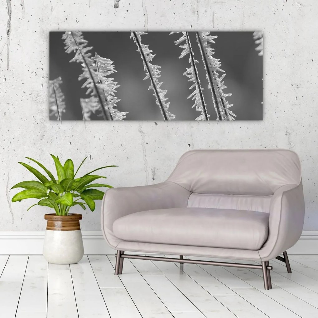 Kép - Fagyos hideg (120x50 cm)