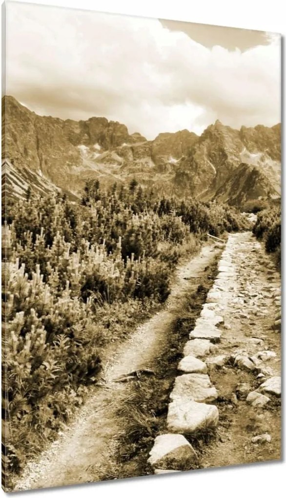 Vászonkép 80x120 Tátra Lengyel hegyek Kilátás