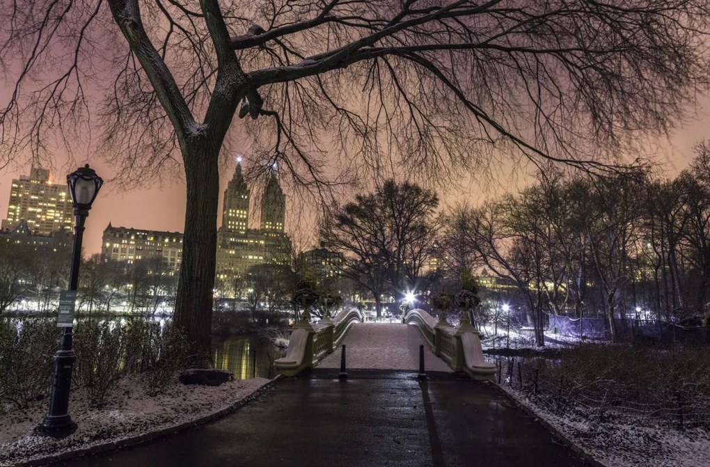 Poszter 86,4x56,8cm Esti kilátás a Central Parkra, Assaf Frank