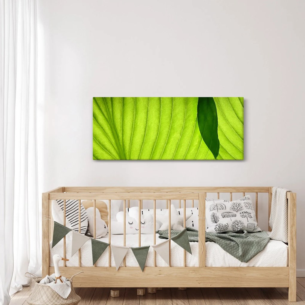 Kép - Zöld levél részlete (120x50 cm)