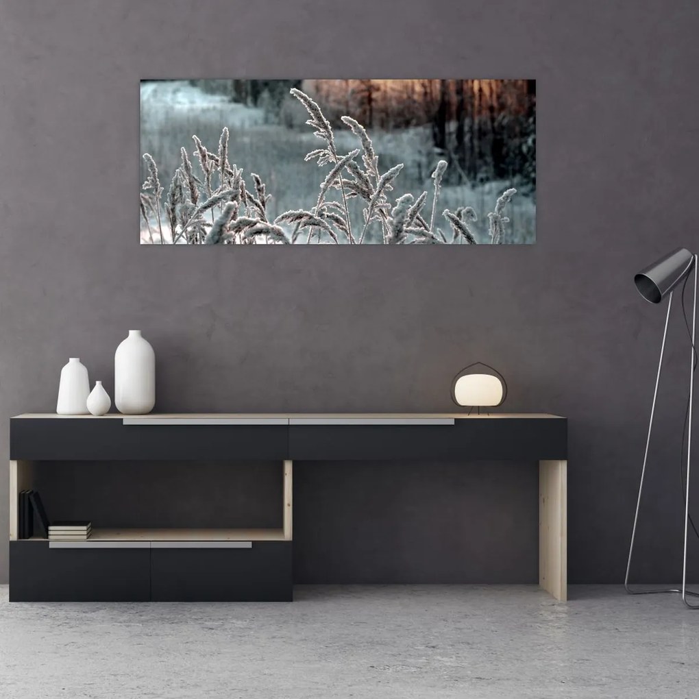 Kép - Fagyott rét (120x50 cm)