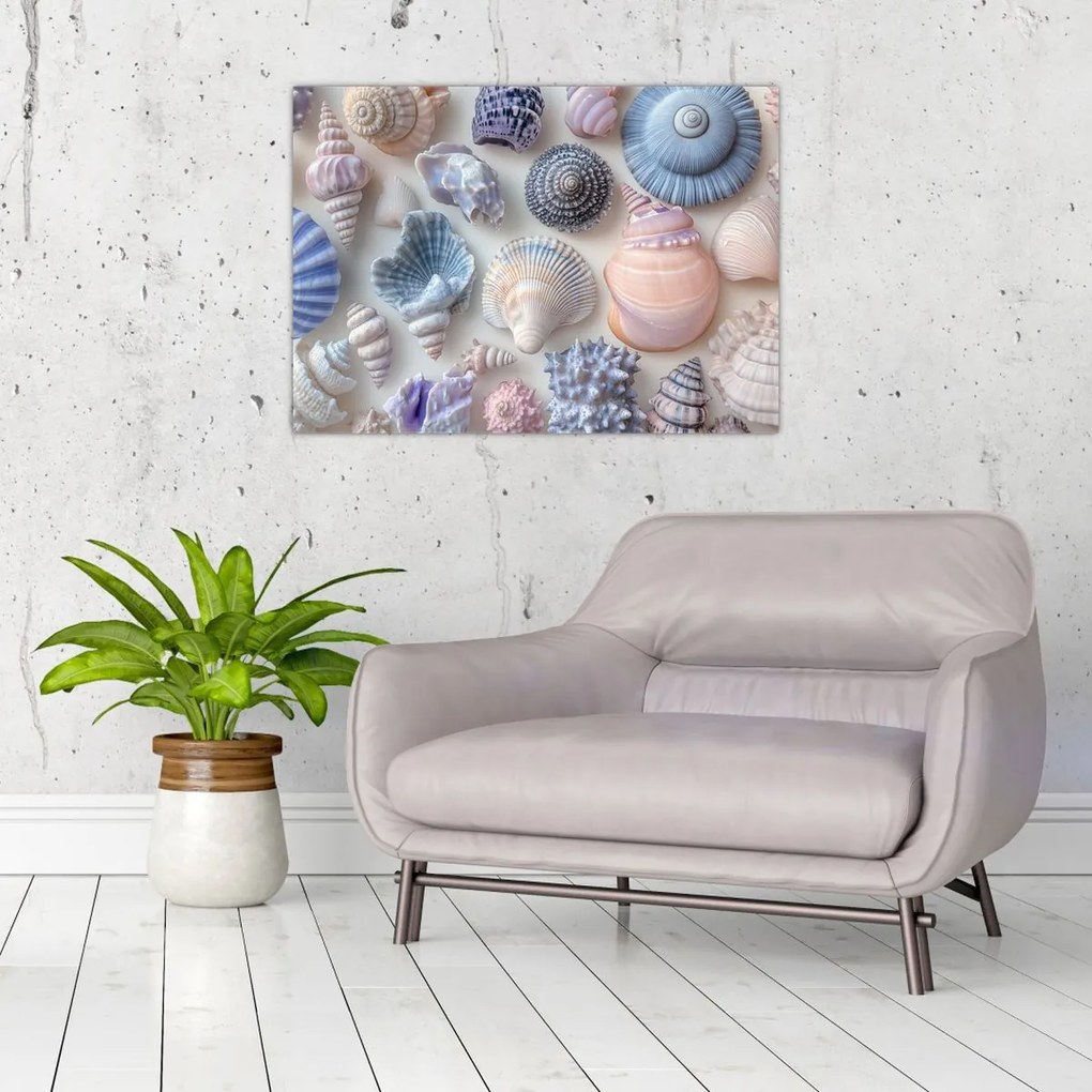 Üveg kép - Kagylógyűjtemény (70x50 cm)
