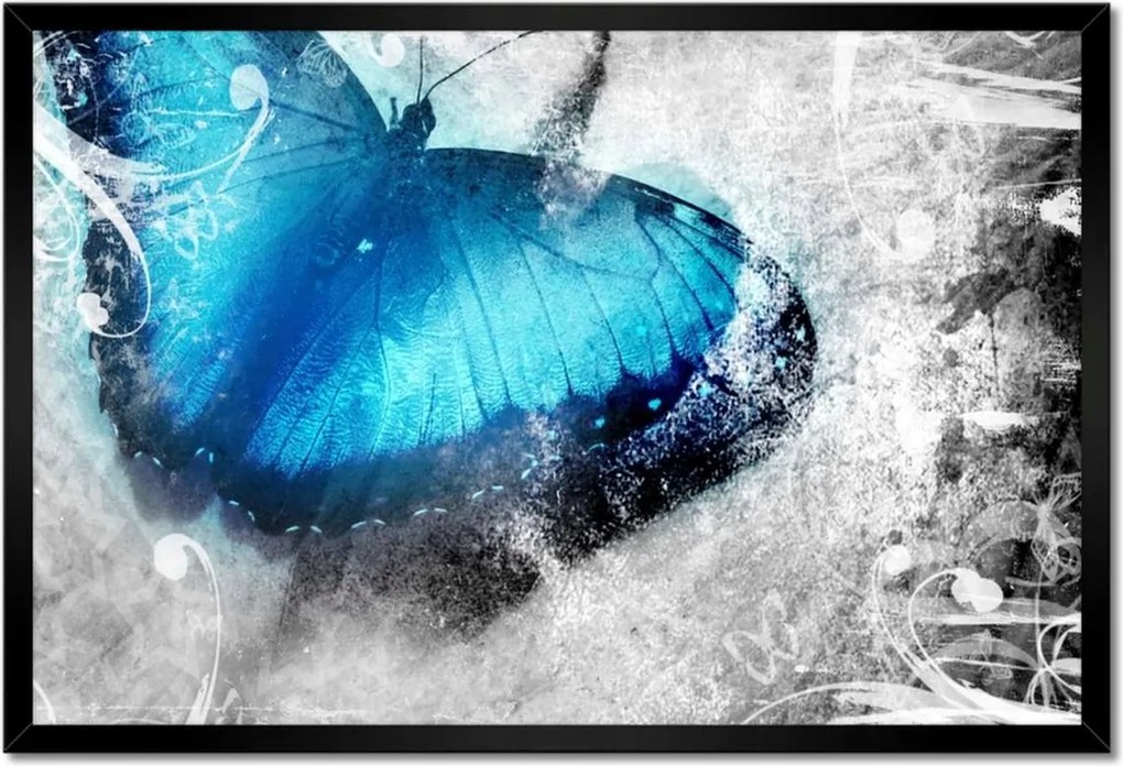 Poszterek keretben 60x40 Finom pillangó
