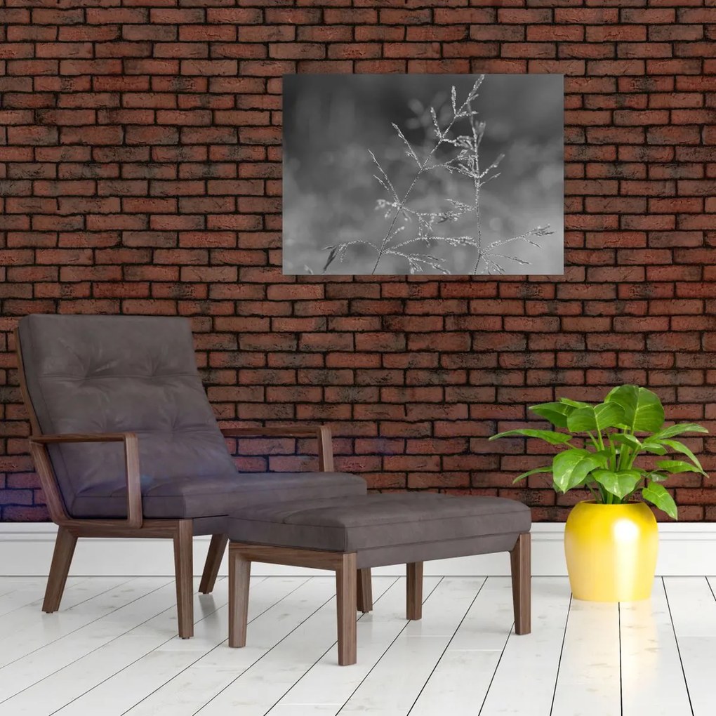 Üveg kép - Vidéki rét (70x50 cm)