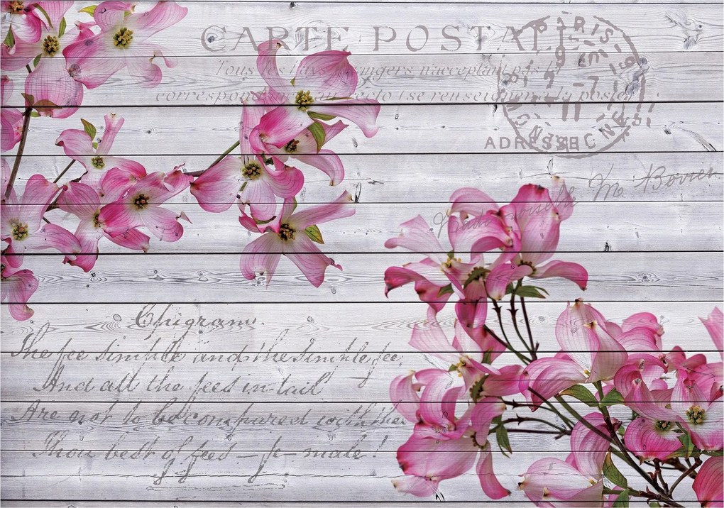 Fotótapéta Szarvas Provence Vintage Shabby Chic deszka 400x280 +ragasztó