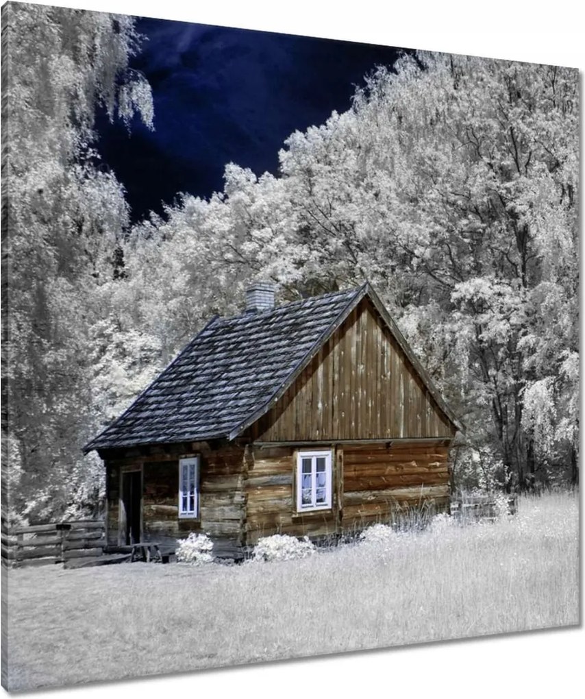 Vászonkép 80x80 Rönkház