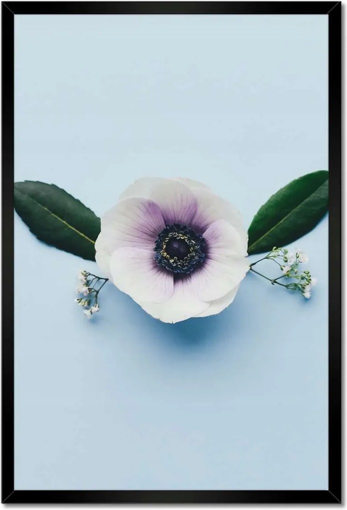 Poszter keretben 40x60 Pipacsvirág