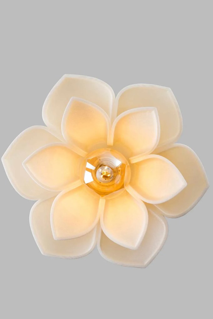 Lotus 1 - Cream