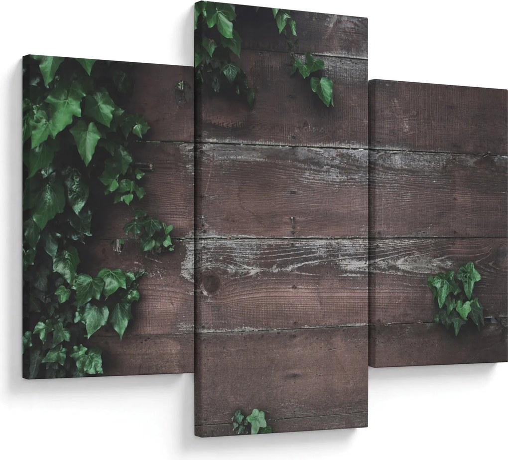 Kép - Borostyán (90x60 cm)