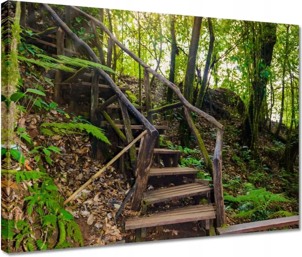 Vászonkép 40x30 Gyalogtúra