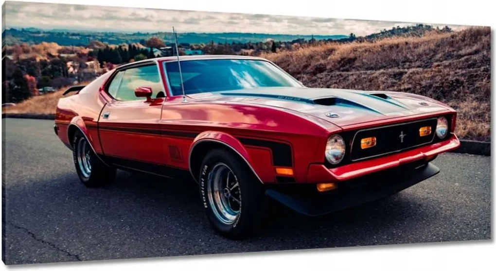 Festmények 115x55 Mustang Mach 1 from Usa
