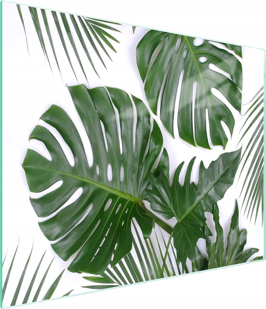 Üveg Vágódeszka 52x30 Monstera Edzett Üveg