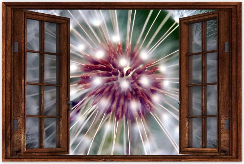 Poszterek 60x40 Pitypang Virág Virágok